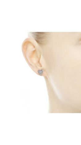 Br-41 Brincos Encanto de Neve em prata e zirconias 
